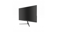 RAYDIN ALISA, 24", 2ms, 75Hz, Full HD, D-Sub, HDMI, Frameless, VA LED Monitör (Siyah)